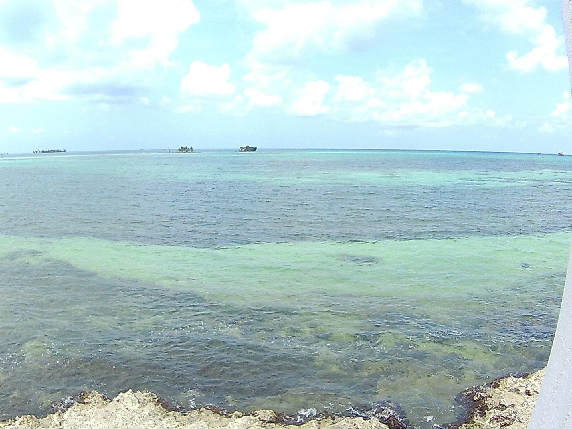 Apartamentos Rocky Cay Bay San Andrés Eksteriør bilde